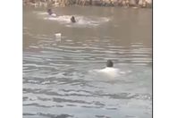 Screenshot 2025-12-2_793_110600