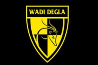 الطب الشرعى يؤكد تزوير استمارات أعضاء نادى وادى دجلة