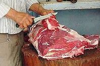 حبس جزار عامًا لاتهامه بذبح كلاب وبيعها للمواطنين