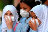 إنفلونزا الطيور تصيب المنوفية بالرعب