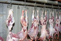 مجازر دمياط: ذبح الأضاحي مجانًا