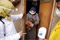 "الأطباء": المستشفيات عاجزة عن مواجهة "إنفلونزا الخنازير"