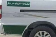 صورة ميكروباص سفاجا