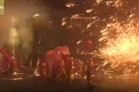 فيديو.. الصينيون يحتفلون برأس السنة الجديدة "سنة الكلب"