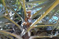 أعشاب ومنتجات