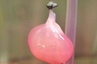 كلية صناعية