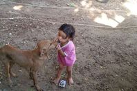 الكلب رعد مع  الطفل آدم