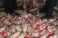 دواجن مجمدة فاسدة