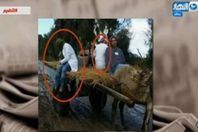 صورة  من الفيديو