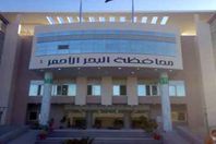 صورة اشيفية