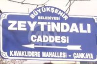 تعليق لوحة "غصن الزيتون" علي شارع السفارة الأمريكية بأنقرة

