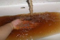 كارثة في مياه الشرب