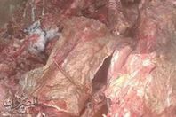 الحمير المذبوحة