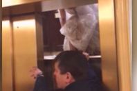 العروسة بالمصعد