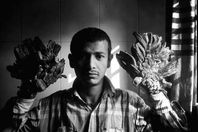 أبول باجندار