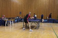 فريق  المنيا