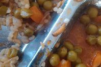 وجبة غداء طلاب المدينة الجامعية