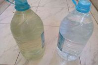 «أمونيا وعكارة وطحالب» بمياه الشرب بالإسكندرية