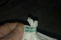 صورة الدجاج