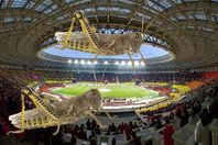 الجراد يهدد مونديال روسيا