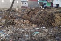 «الباعوض والثعابين» يطاردان أهالي «زاوية صقر»