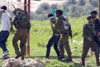 الاحتلال يعتقل 20 فلسطينيا من الضفة الغربية
