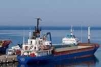 المحاسب نبيل محمد دويدار