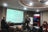 الطفولة والامومة