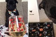 صورة من الفيديو