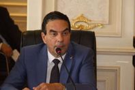 النائب أيمن أبو العلا