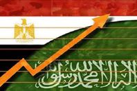 الاستثمارات المصرية السعودية