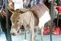 صورة من الواقعة