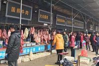 فيروس كورنا