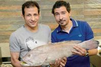 بركات ومعوض