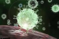 الوقاية من كورونا