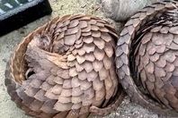 151266669_766321517333139_8623520533126291800_n