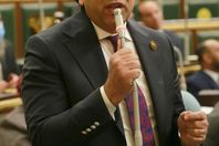 النائب أيمن محسب