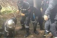 620ca64242360430da1dc548