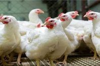 2023_2_6_12_42_7_253