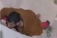 457d823c0118db99151a6412e11ff44d