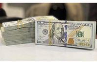 147-104640-price-dollar-today-egypt-thursday-february-13-2025-3