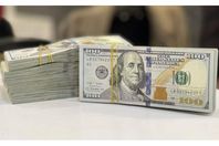 62-095333-dollar-price-today-egypt-monday-february-3-2025-3