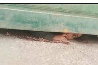 1809754358455202602111047514751