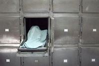 6921829931814202512030730333033