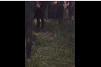 728752937161202602191249164916