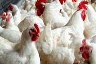 730770149900202512300134173417