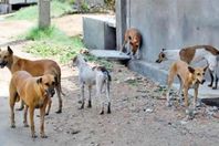 19_2023-638159742983020338-302