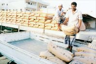 " التموين": ثبات أسعار الاسمنت هذا الشهر وحملات رقابية يومية