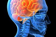 علماء: أصل الشرور جزء فى دماغ الإنسان