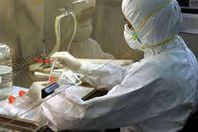 الصحة: هذا هو الوضع الحالي لمرض انفلونزا الطيور في مصر